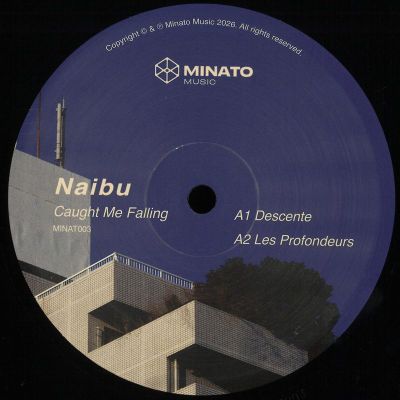 Naibu — Caught Me Falling vinyl cover