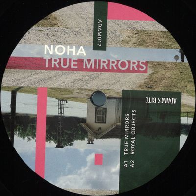 Noha — True Mirrors vinyl cover