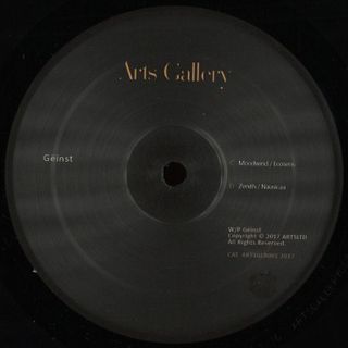 Gëinst — Arts Gallery I vinyl cover