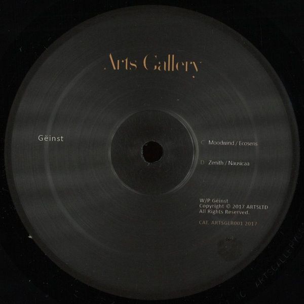 Gëinst — Arts Gallery I vinyl cover