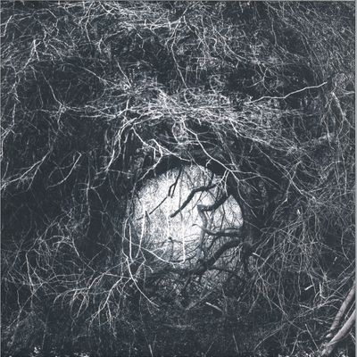 Orphx — The Way Through All Things vinyl cover