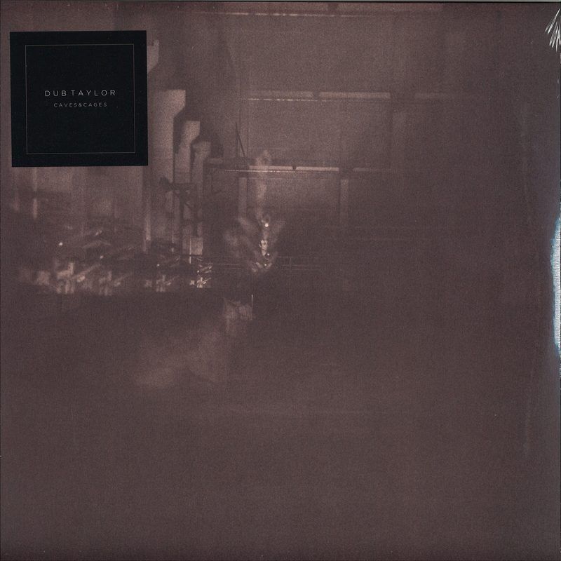 Dub Taylor — Caves & Cages vinyl cover