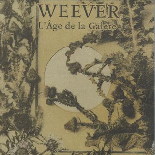 Weever
