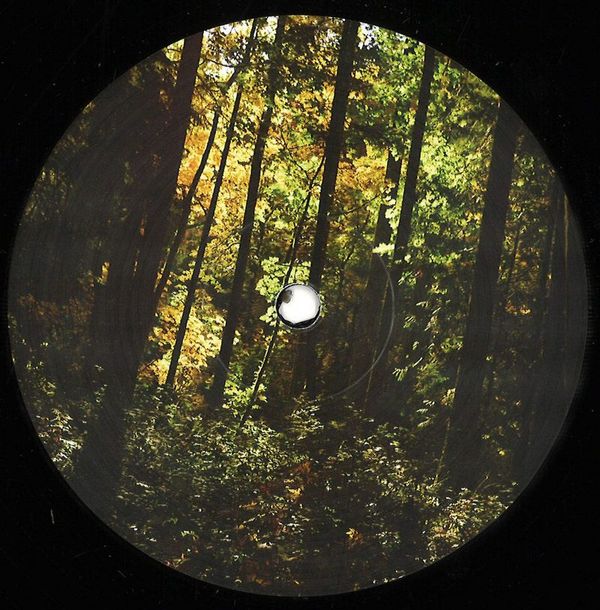 Jared Wilson — New Era vinyl cover