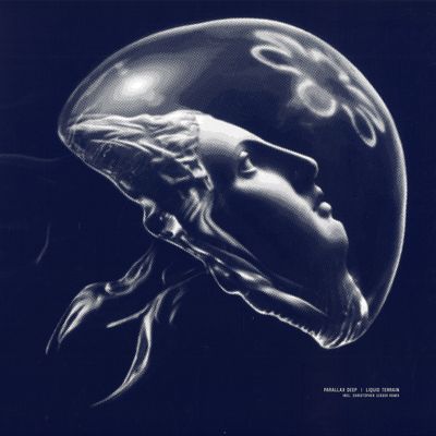 Parallax Deep — Liquid Terrain EP vinyl cover