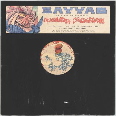 Casio the Calculator — Elementary Calculations vinyl cover