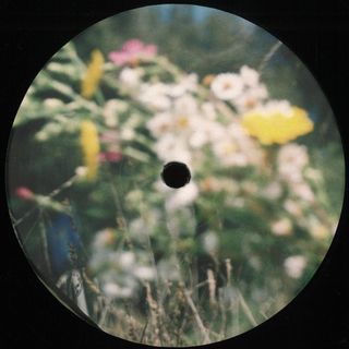 Transcendental Amor Organization — TAO vinyl cover