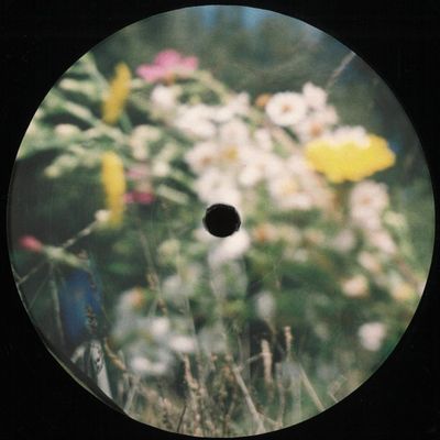 Transcendental Amor Organization — TAO vinyl cover