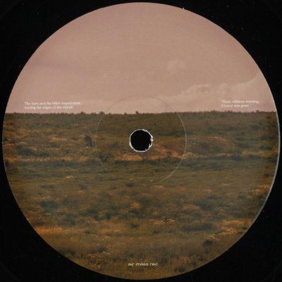 Braga Circuit — Thanks All vinyl cover