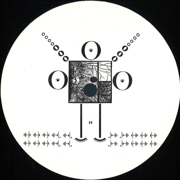 Dele Sosimi Afrobeat Orchestra — Too Much Informations (remixes) vinyl cover