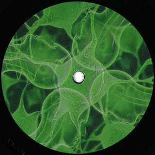 Meg Ward — Connections EP vinyl cover