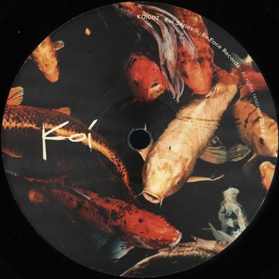 Raveld — Drifting Voices vinyl cover