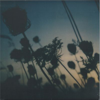 Awakened Souls, Benoit Pioulard, Zake — My Heart My Beloved LP vinyl cover