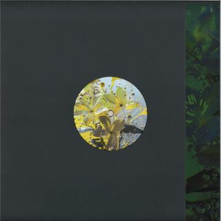 Bufobufo — Celandine vinyl cover