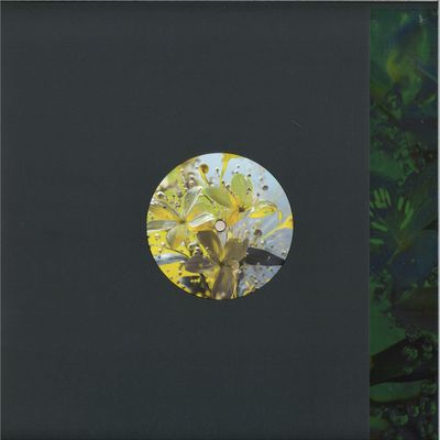 Bufobufo — Celandine vinyl cover