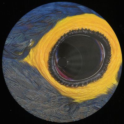 Abyssy — Extra Meta 2 vinyl cover