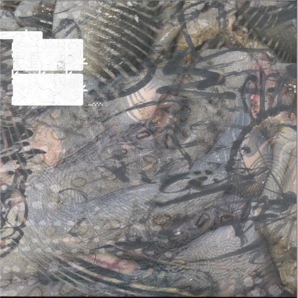 Floid — Skudd LP vinyl cover