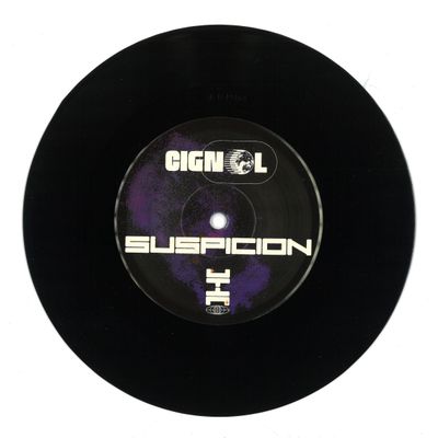 Cignol — Botnet 7" vinyl cover