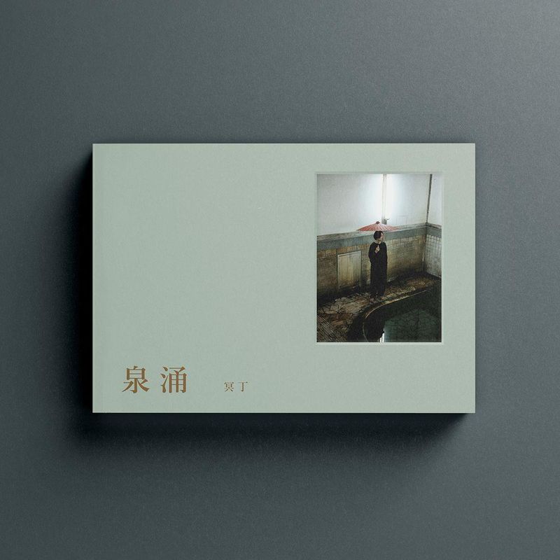 Unknown Artist — Sen’nyū vinyl cover
