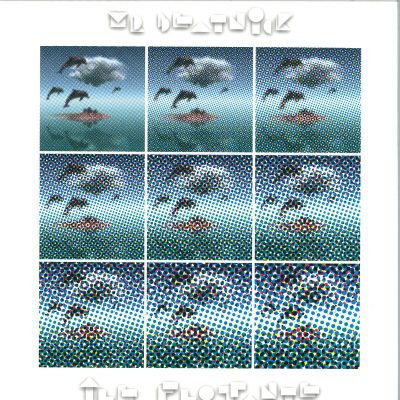 Mr. Beatnick — île Flottante (LP) vinyl cover
