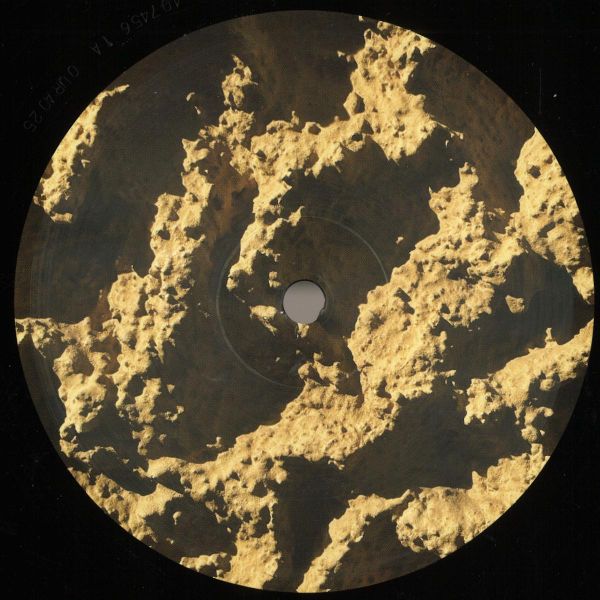 Franco Rossi — Phyllophaga vinyl cover