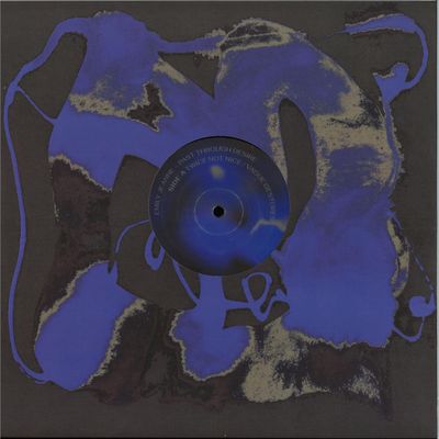Emily Jeanne — Past Through Desire vinyl cover