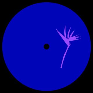 Suolo — Cometa EP vinyl cover