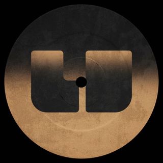 UU015 — UU015 (2x12") vinyl cover