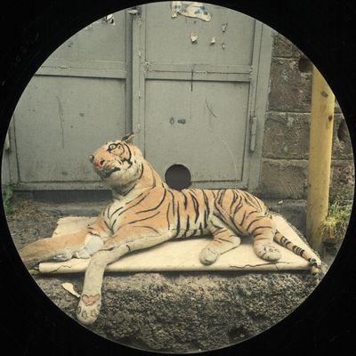 Various — Soé vinyl cover
