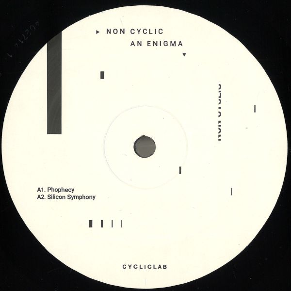Non Cyclic — An Enigma LP 2x12" vinyl cover