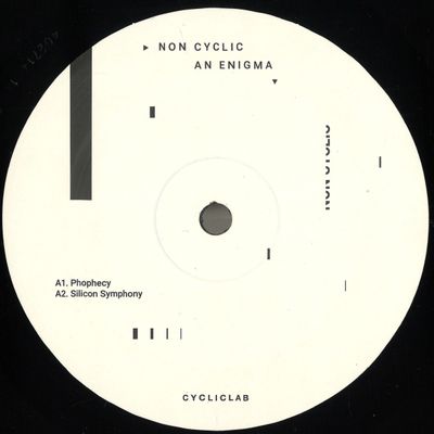 Non Cyclic — An Enigma LP 2x12" vinyl cover