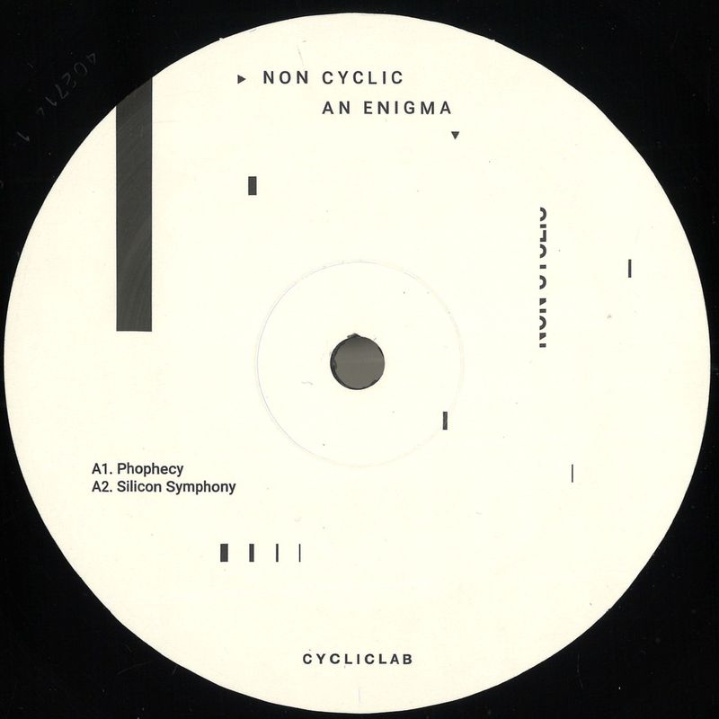 Non Cyclic — An Enigma LP 2x12" vinyl cover
