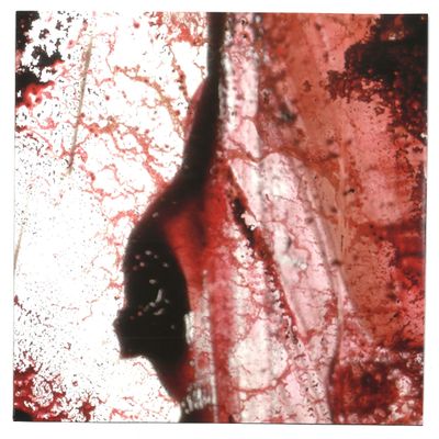 Purgate — Hæresis 10!" vinyl cover
