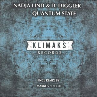 Nadja Lind, D. Diggler — Quantum State vinyl cover
