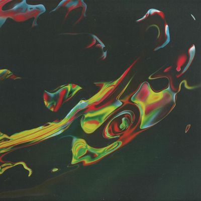 Hanegi Koen — The Nature Of Nature vinyl cover