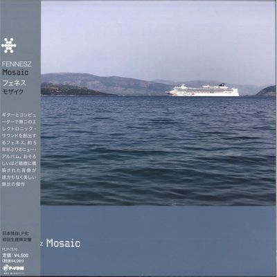Fennesz — Mosaic LP vinyl cover