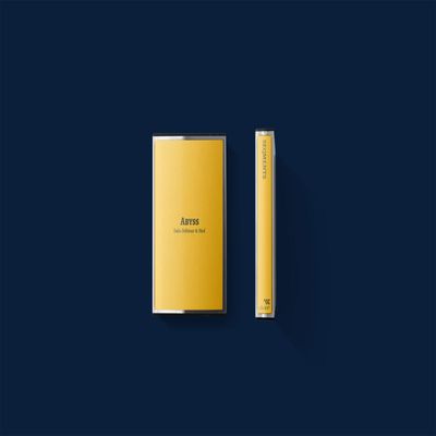 Saša Delimar, Hod — SEQMENTS: Abyss (TAPE) vinyl cover