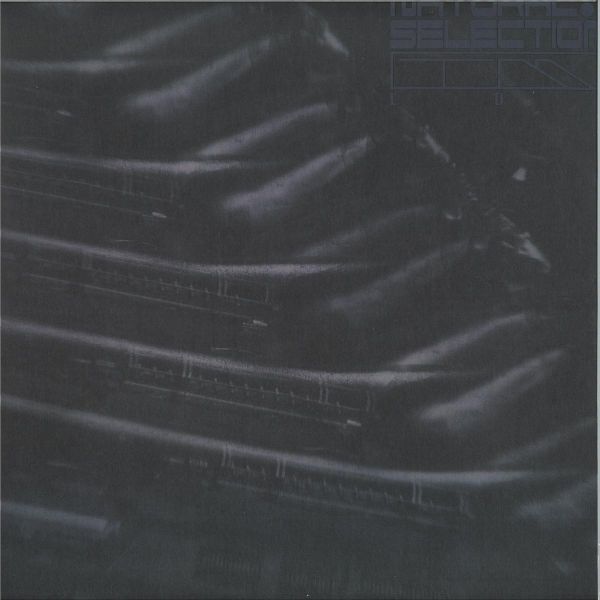 Swarm Intelligence — Radiance EP vinyl cover
