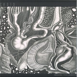 cv313 — dimensional space 3x12" vinyl cover