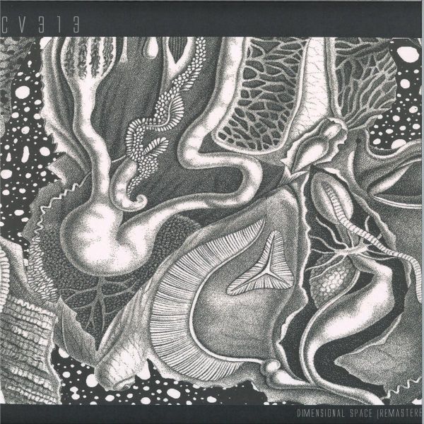cv313 — dimensional space 3x12" vinyl cover
