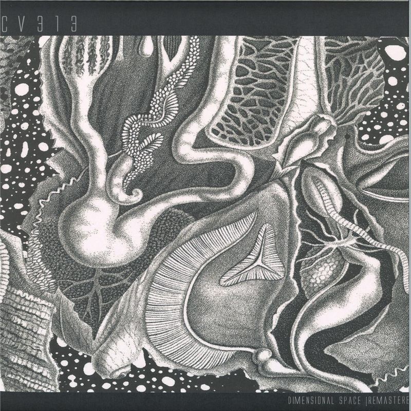 cv313 — dimensional space 3x12" vinyl cover