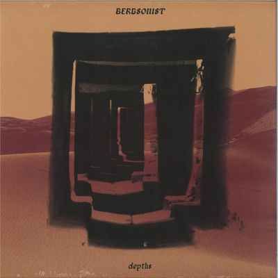 Bergsonist — Depths LP vinyl cover