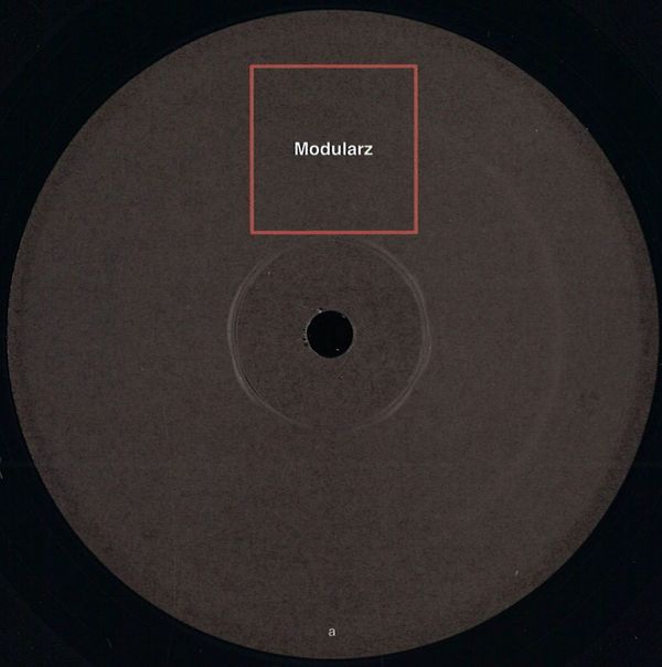 Developer — Dispatches From La vinyl cover