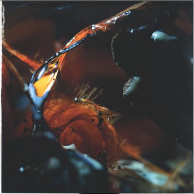 Poole — In a RIver Shadow vinyl cover
