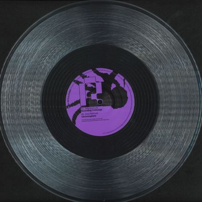 Zeta Reticula — Ascending Pathways EP vinyl cover