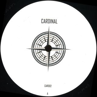 Plusculaar — Theta Rhythm vinyl cover