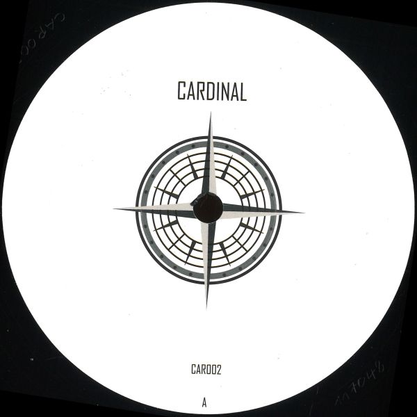 Plusculaar — Theta Rhythm vinyl cover
