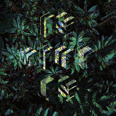 Alex Smoke — Is With Us LP vinyl cover