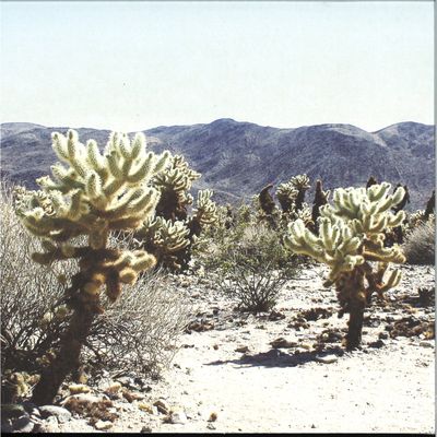 Andrea — Due In Color LP 2x12" vinyl cover