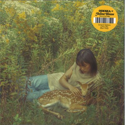 Odesza, Yellow House — Flaws In Our Design vinyl cover